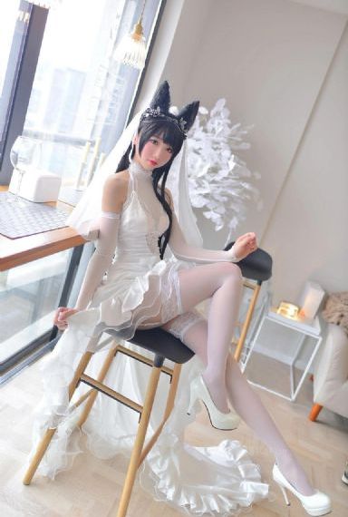 九重紫电视剧在线播放视频观看27