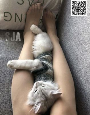 女同性恋的悲哀