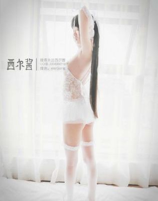 护卫者2