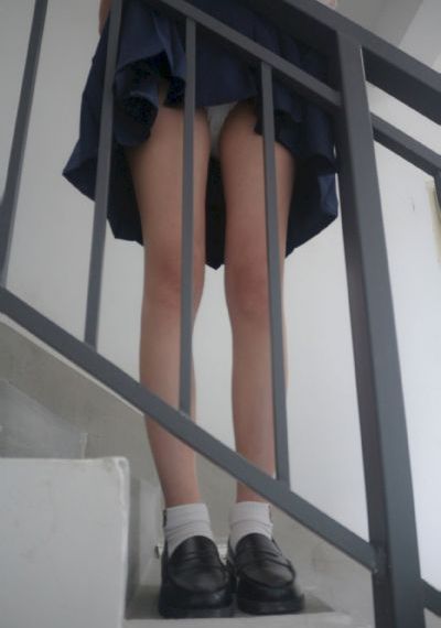 花儿与少年6完整版免费