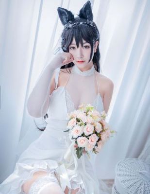 芈月传第81集免费播放