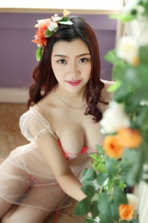 电视剧《战旗》在线观看