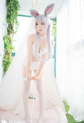 金萍风月