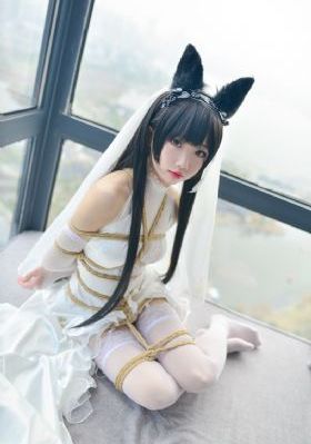 盲侠大律师