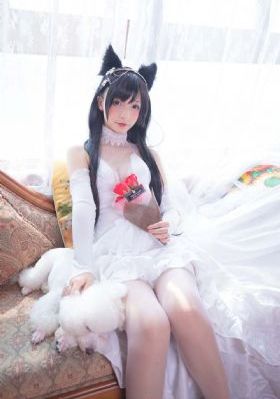 武动乾坤第一季免费观看完整版